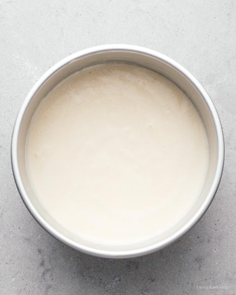 A super cute fluffy, jiggly Totoro cheesecake: pillowy soft, cotton-y, light-as-air cheesecake with just a hint of sweetness. #cheesecake #japanesecheesecake #fluffycheesecake #totorocake #totorocheesecake #totorofood #kawaiifood