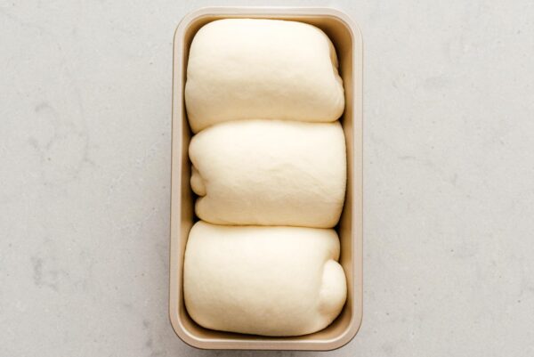 milk bread dough in pan after proofing | www.iamafoodblog.com